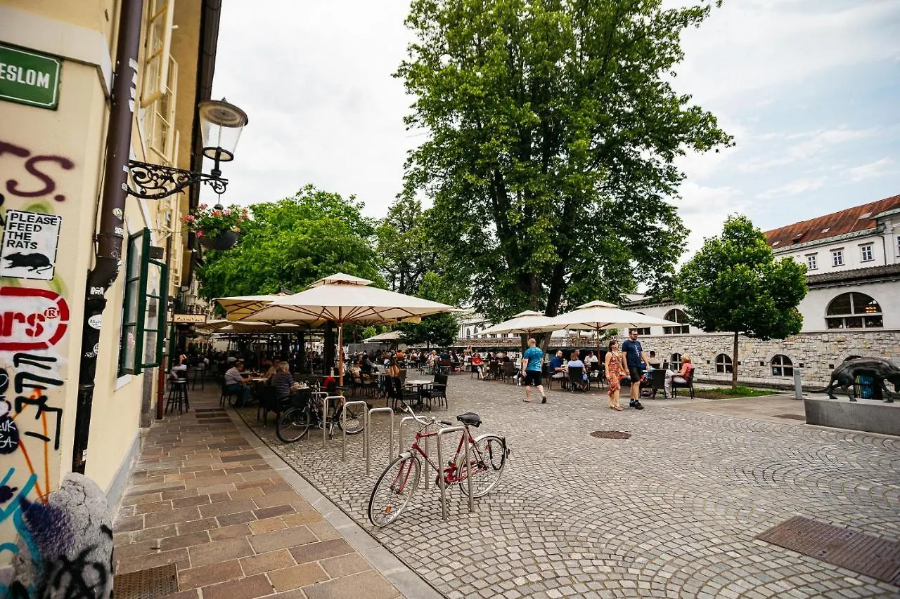 150 Steps To The Main Square Apartment Ljubljana Slovenia